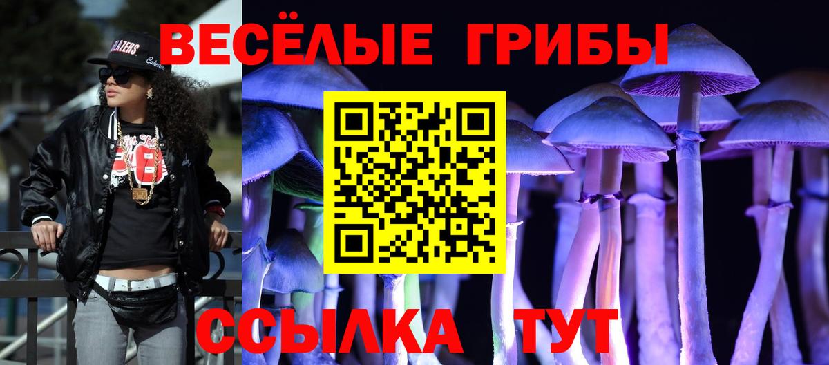 Галлюциногенные грибы MAGIC MUSHROOMS  Вход с VPN  Каменск-Уральский 